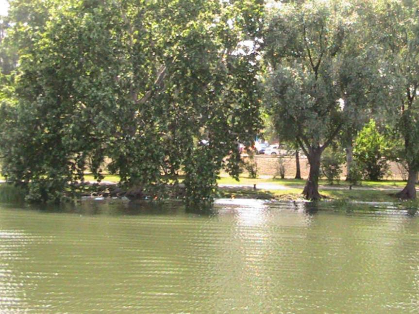 IMG_8582 (FILEminimizer)