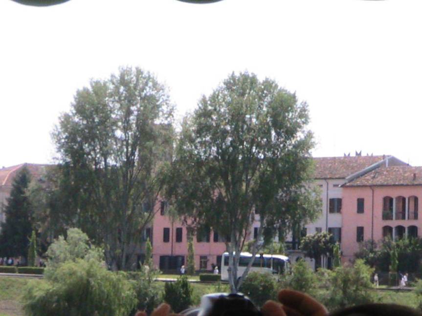 IMG_8590 (FILEminimizer)