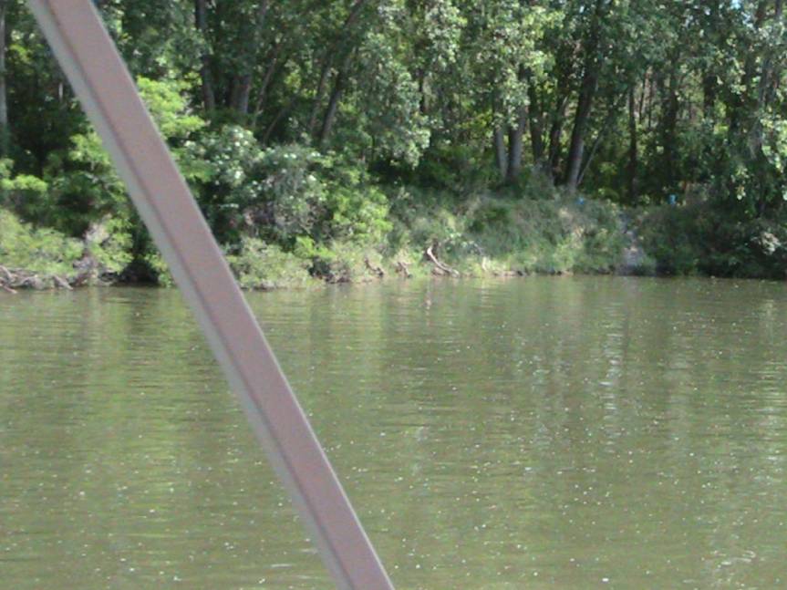 IMG_8608 (FILEminimizer)