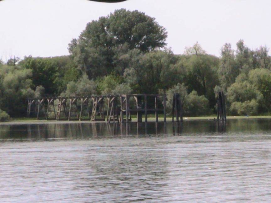 IMG_8609 (FILEminimizer)