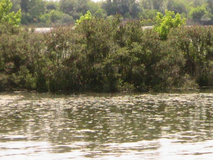 IMG_8623 (FILEminimizer)