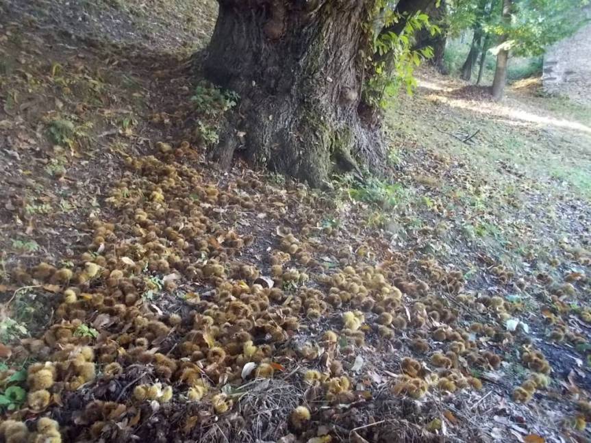 DSCN1065 (FILEminimizer)