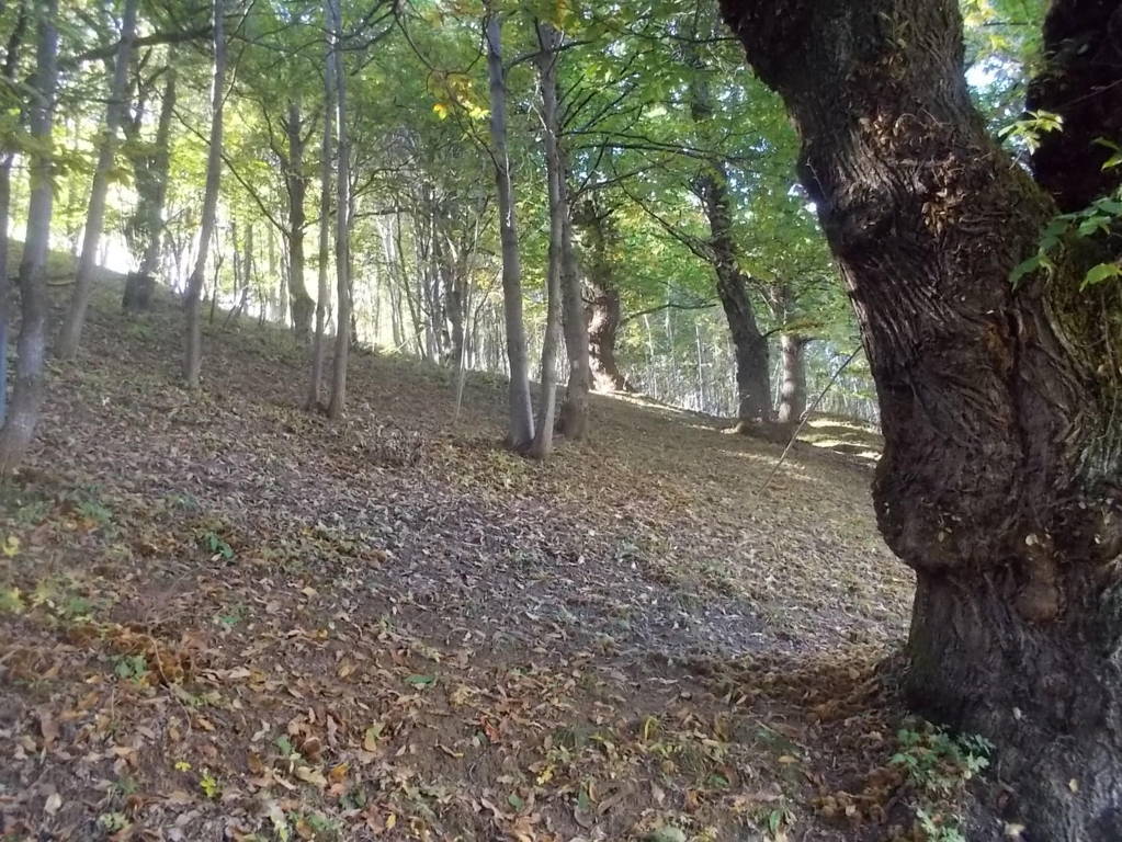 DSCN1067 (FILEminimizer)