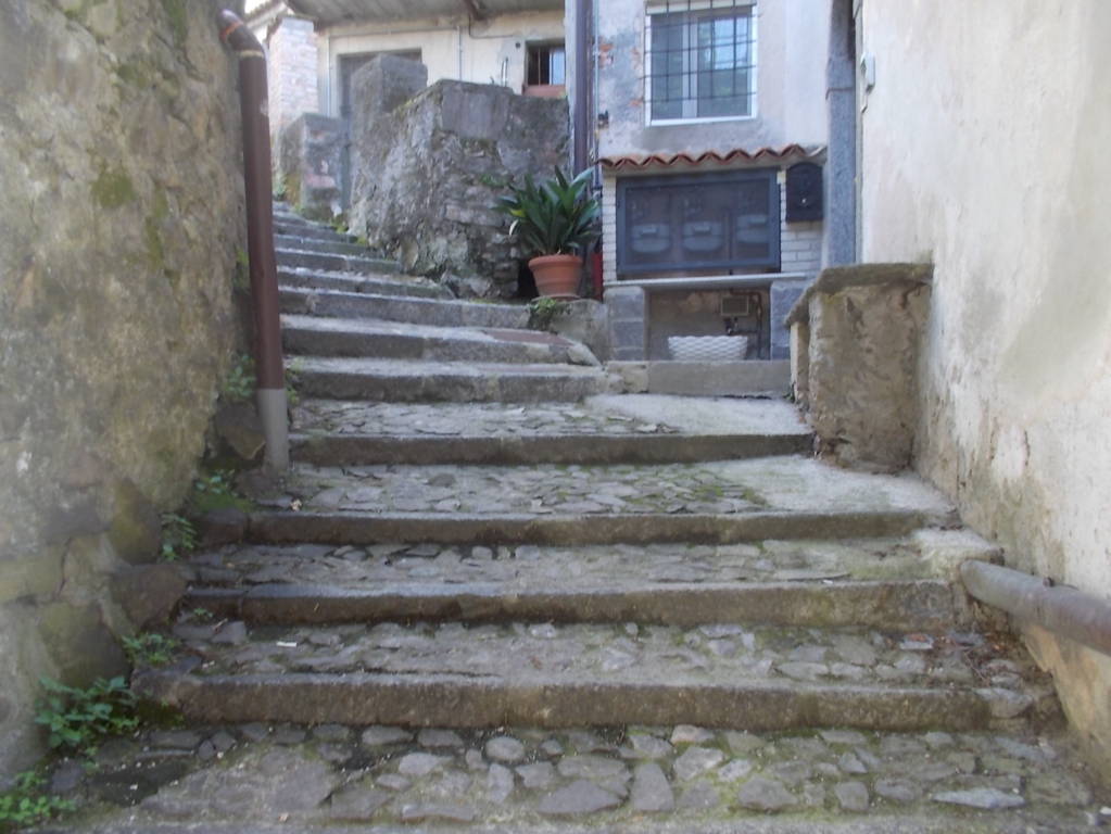 DSCN9524 (FILEminimizer)