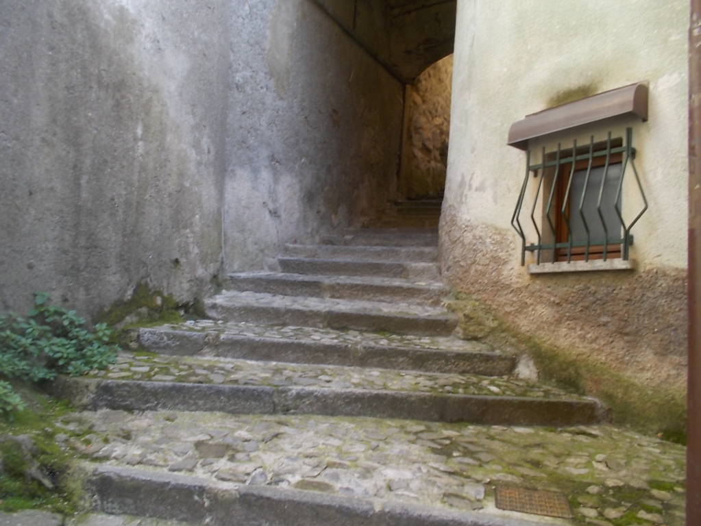 DSCN9528 (FILEminimizer)