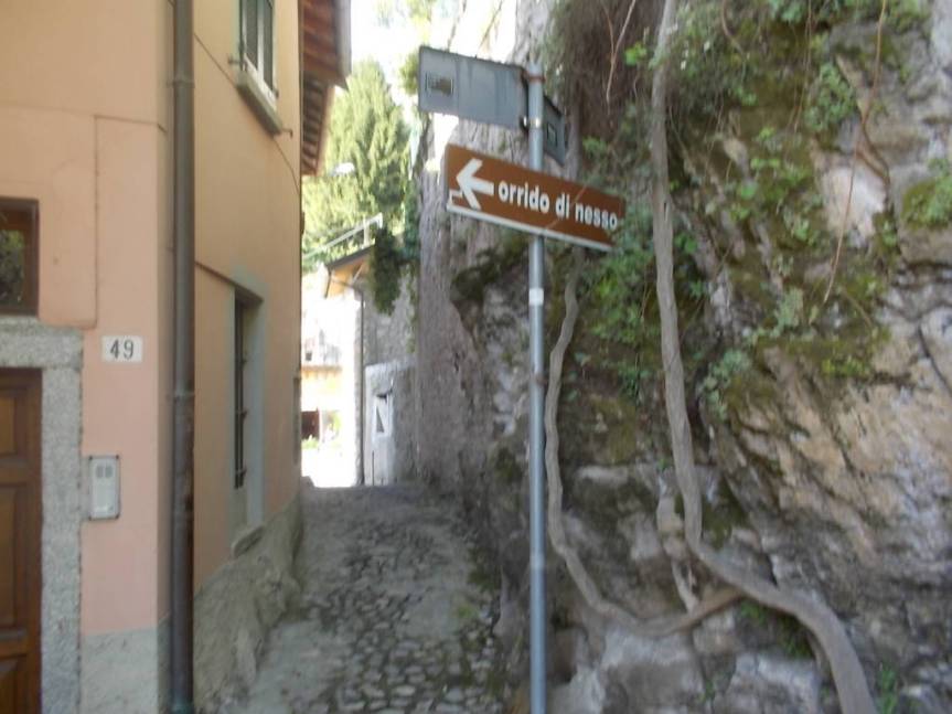 DSCN9536 (FILEminimizer)