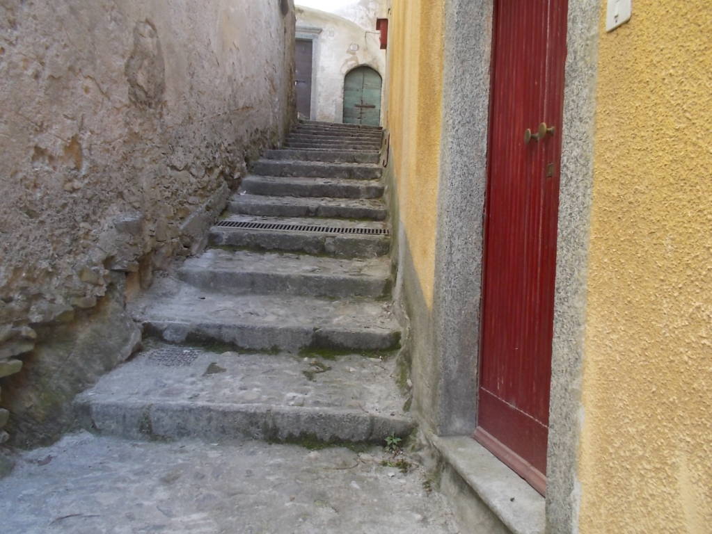 DSCN9538 (FILEminimizer)