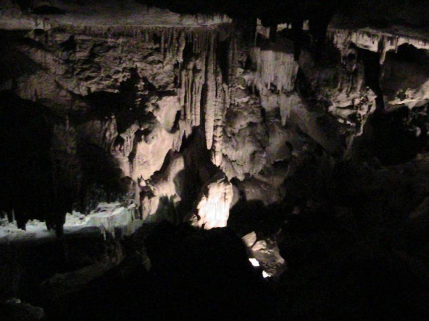 IMG_8661 (FILEminimizer)