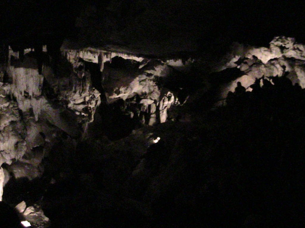 IMG_8662 (FILEminimizer)