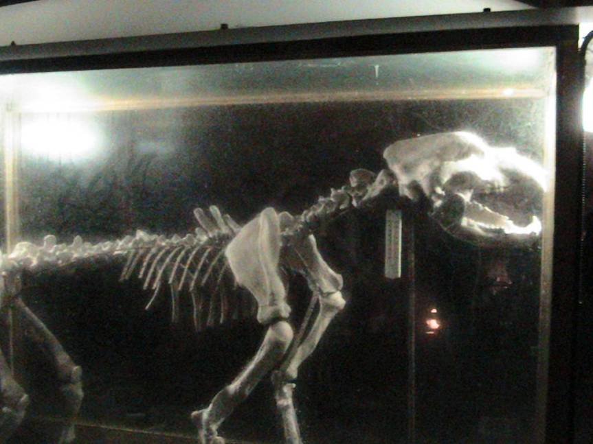 IMG_8664 (FILEminimizer)