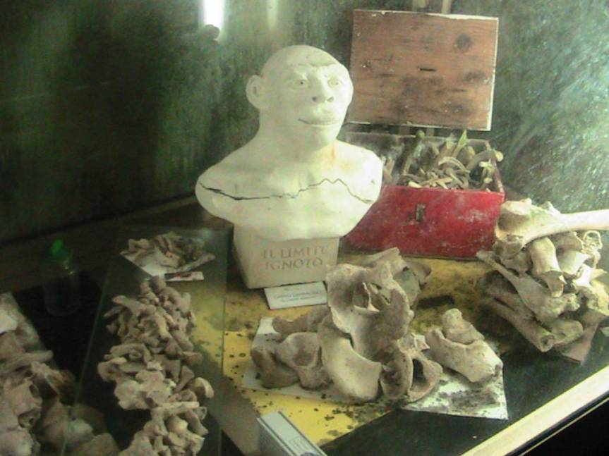 IMG_8666 (FILEminimizer)