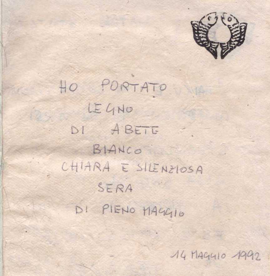 4 Legno abete bianco