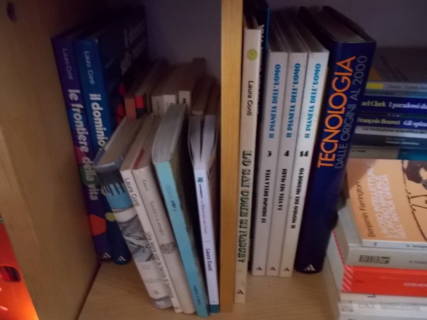 DSCN1758 (FILEminimizer)