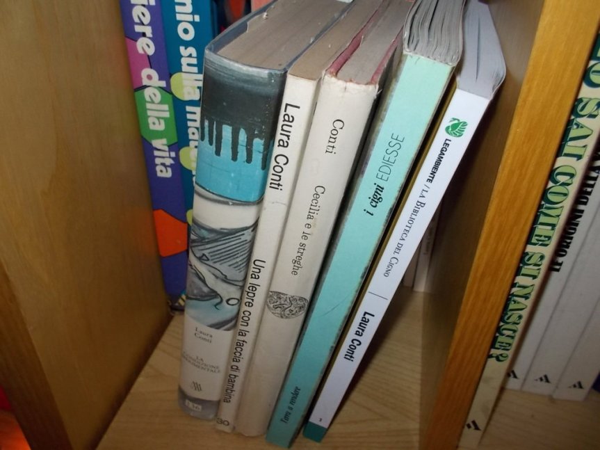 DSCN1761 (FILEminimizer)