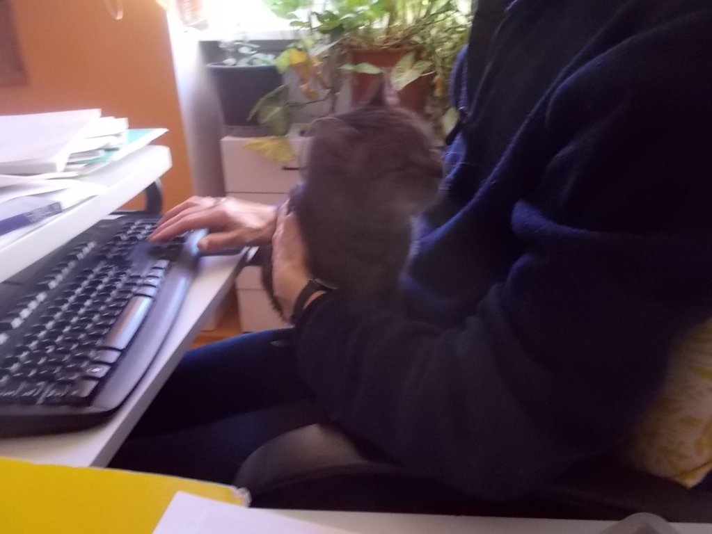 dscn1480 (fileminimizer)