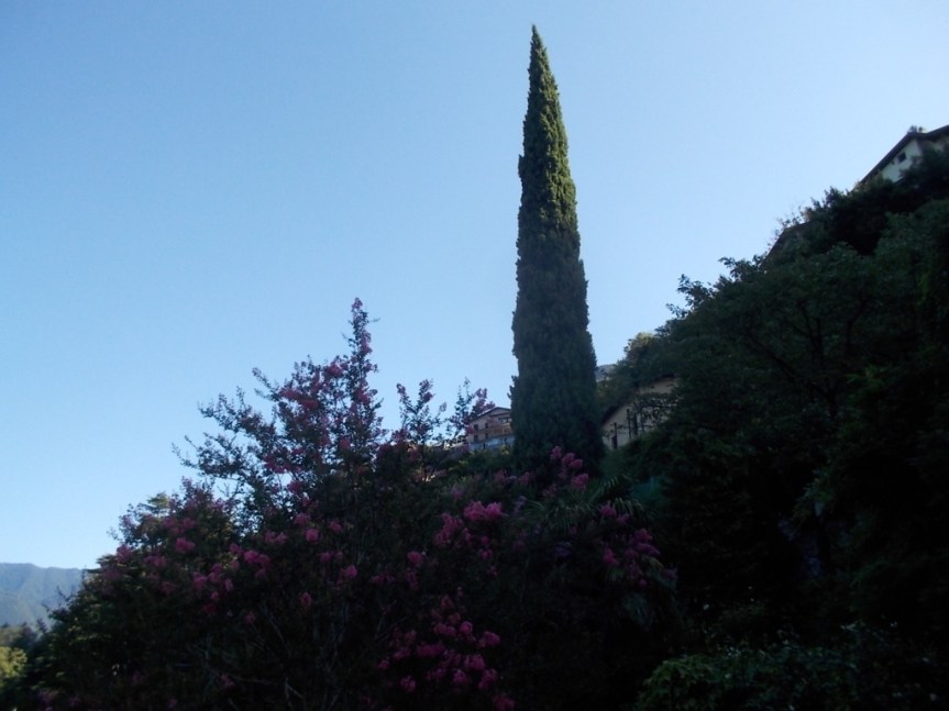 DSCN2557 (FILEminimizer)