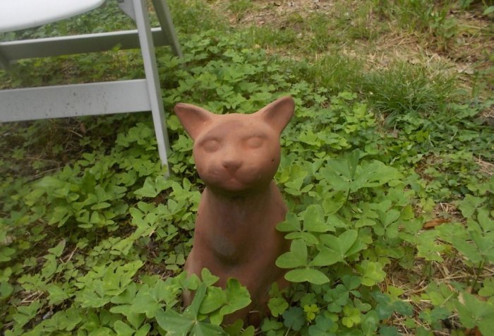 dedicata alla gatta Luna: PER UN CANE, in ANTONIA POZZI, Desiderio di cose leggere, a cura di Elisabetta Vergani, Salani editore&nbsp;2018