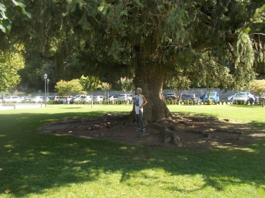 DSCN2922 (FILEminimizer)