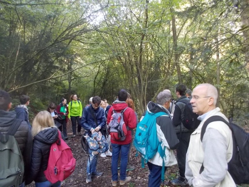 DSCN3014 (FILEminimizer)