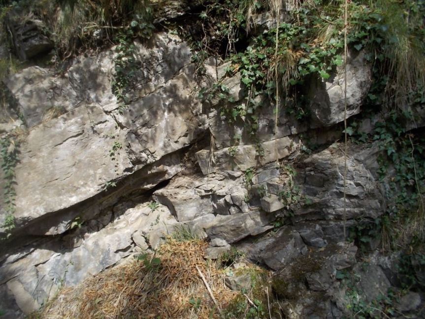 DSCN3016 (FILEminimizer)