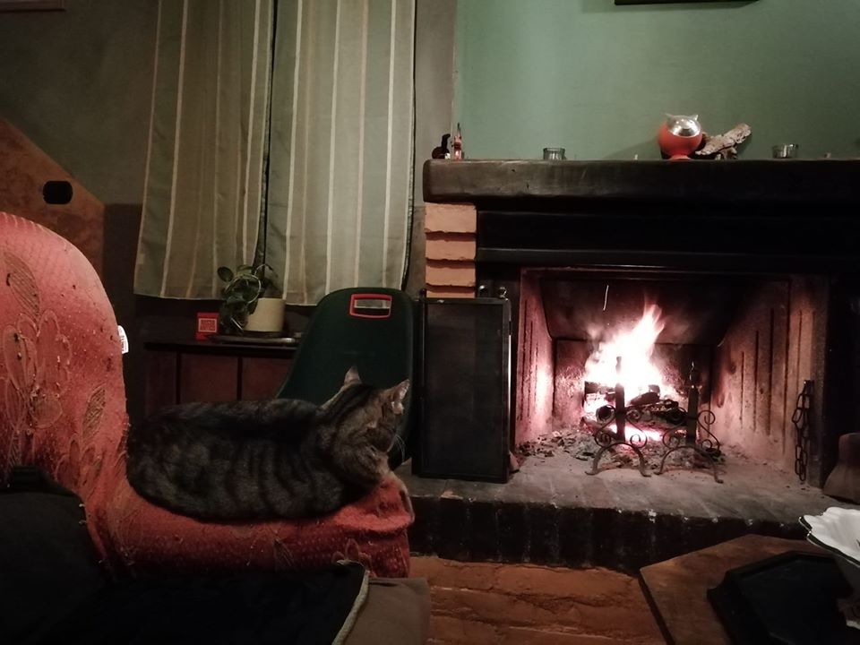 85054514_10218666693230974_8443631255525785600_o