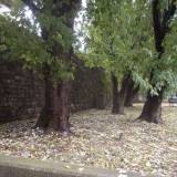 dscn1188-fileminimizer