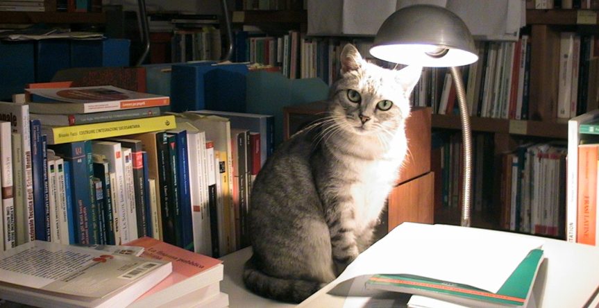 “Oggi 24 aprile registro il decesso di Miciù … mi piace comunque pensare di guardare alla cosa dal punto di vista della nostra incredibile gatta…” – da&nbsp;TARTARUGOSA