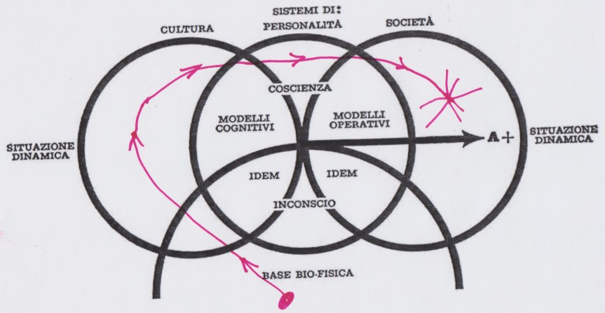 la MAPPA E’ QUESTA. La freccia parte dalla base biofisica, va sulla cultura, cambia le nostre personalità,  produce effetti nella società. Ma su come funzionano questi percorsi e come si sviluppano nessuno lo sa. Non abbiamo categorie&nbsp;interpretative