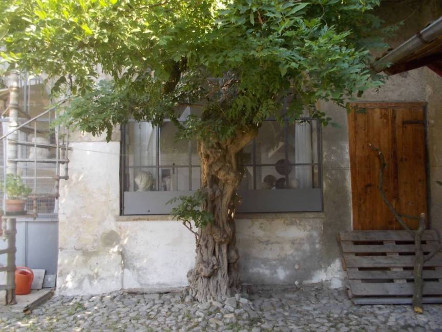 DSCN0624 (FILEminimizer)