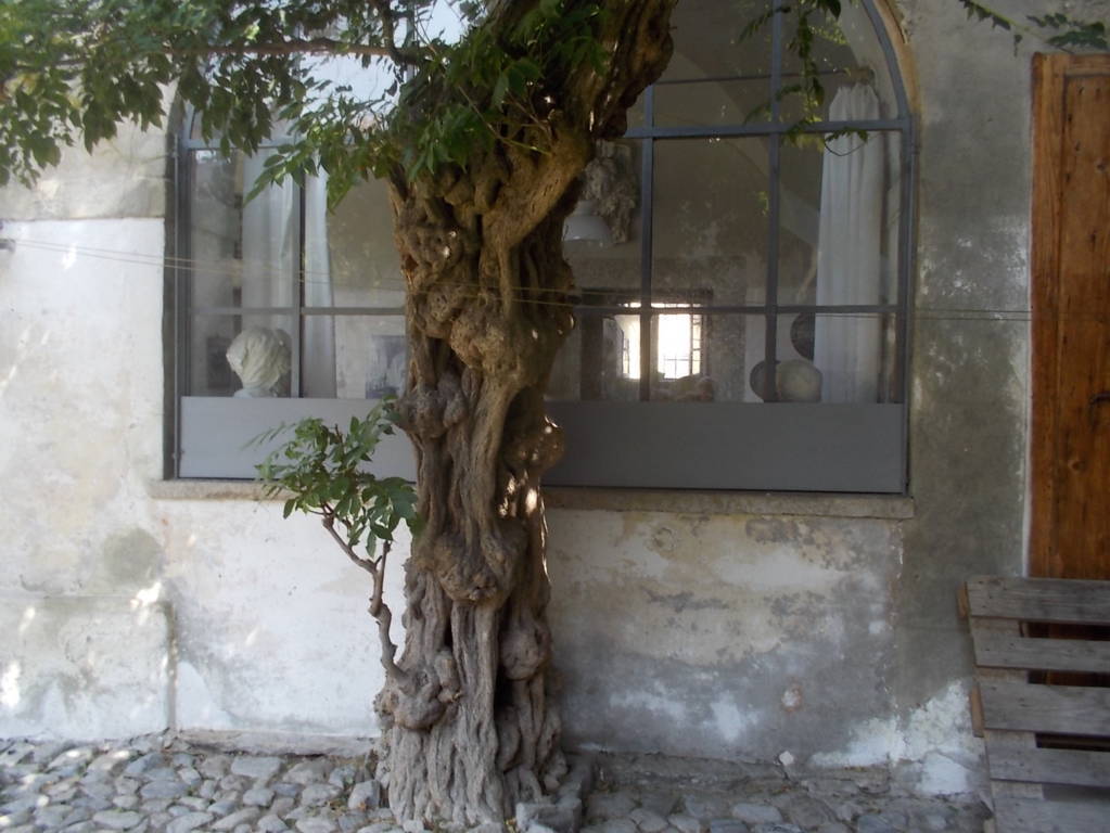 DSCN0626 (FILEminimizer)