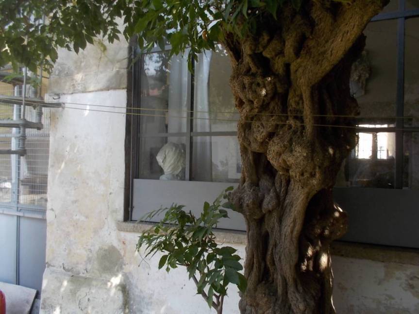 DSCN0628 (FILEminimizer)