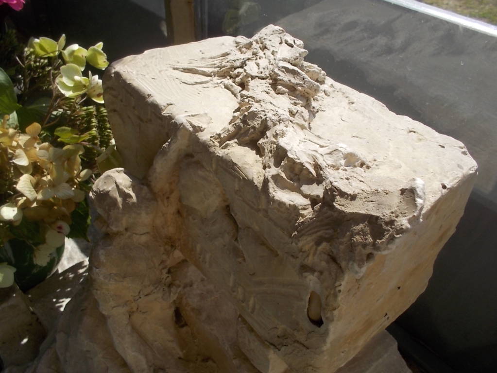 DSCN0635 (FILEminimizer)