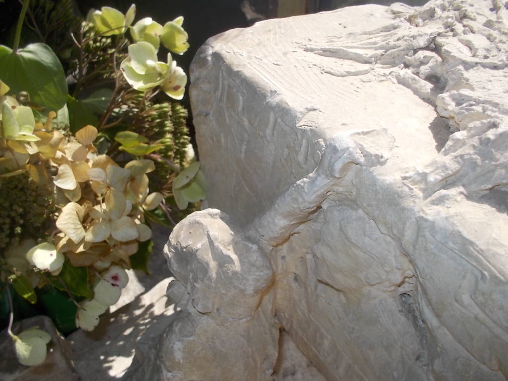 DSCN0636 (FILEminimizer)