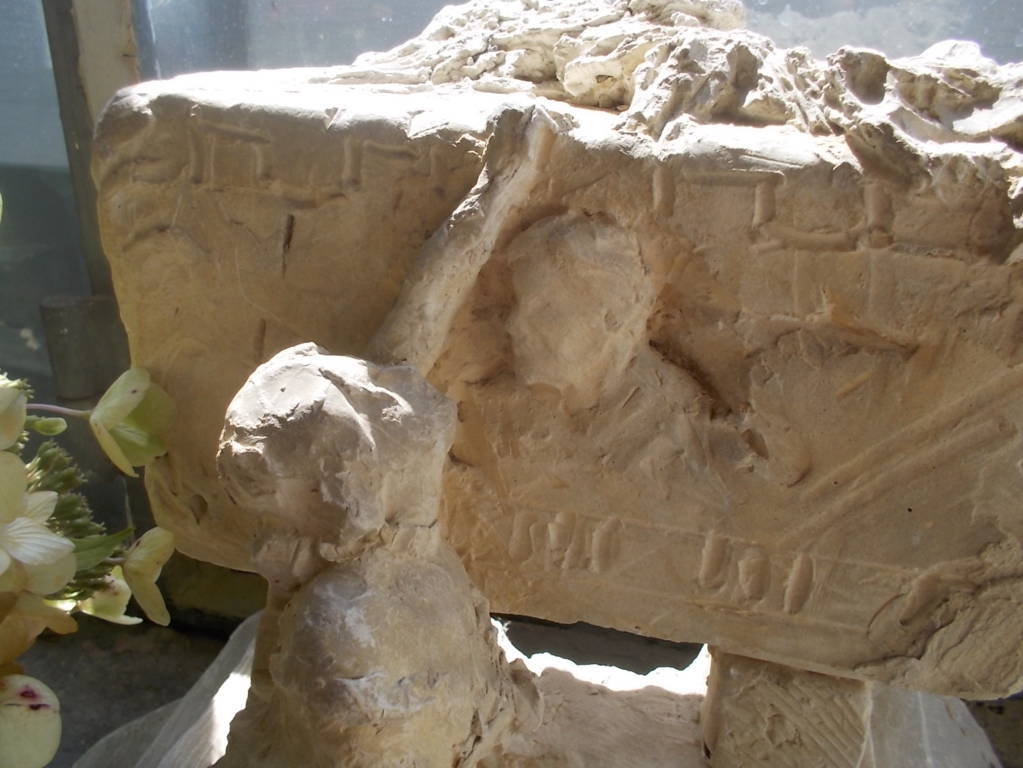 DSCN0639 (FILEminimizer)