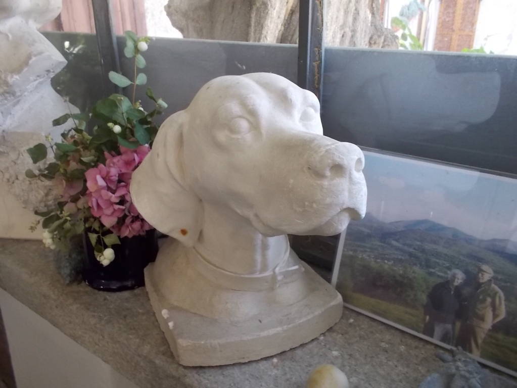 DSCN0640 (FILEminimizer)