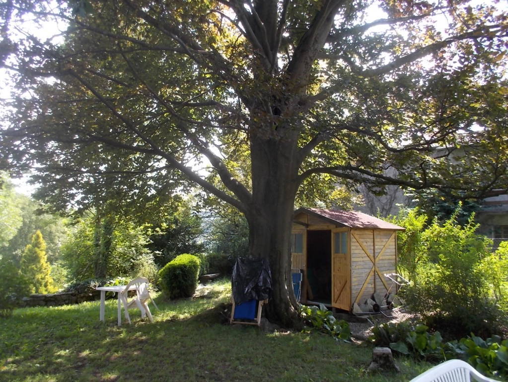 DSCN0646 (FILEminimizer)