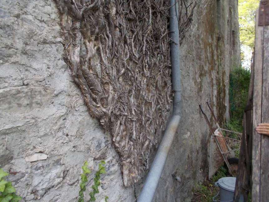 DSCN0655 (FILEminimizer)