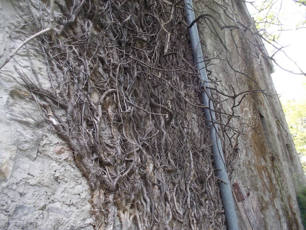 DSCN0656 (FILEminimizer)