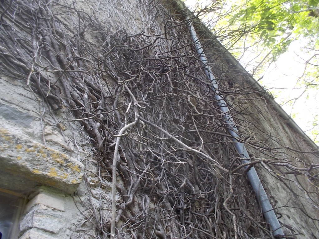 DSCN0657 (FILEminimizer)