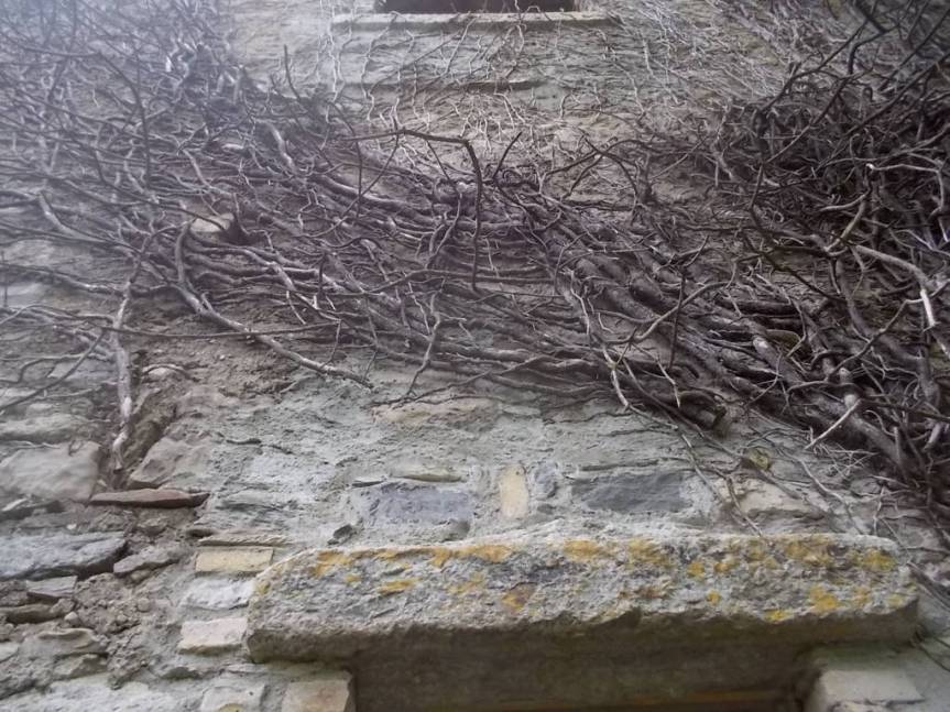 DSCN0658 (FILEminimizer)